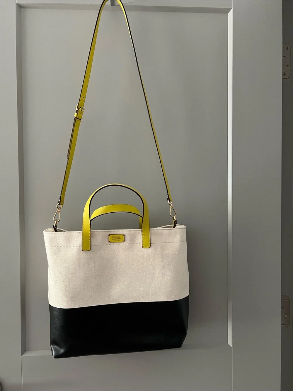 Frances Valentine canvas and leather tote